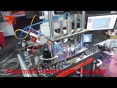 टी युग्मन